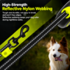 Retractable leash