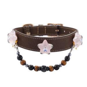 Five-pointed star pet collar