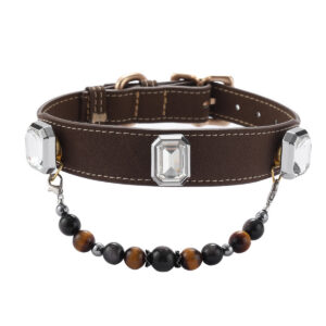 Transparent Gemstone Pet Collar