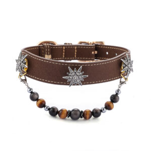 Hexagram Pet Collar