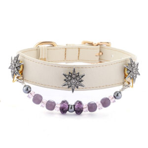 Hexagram Pet Collar