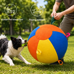 Toy ball for large dogs